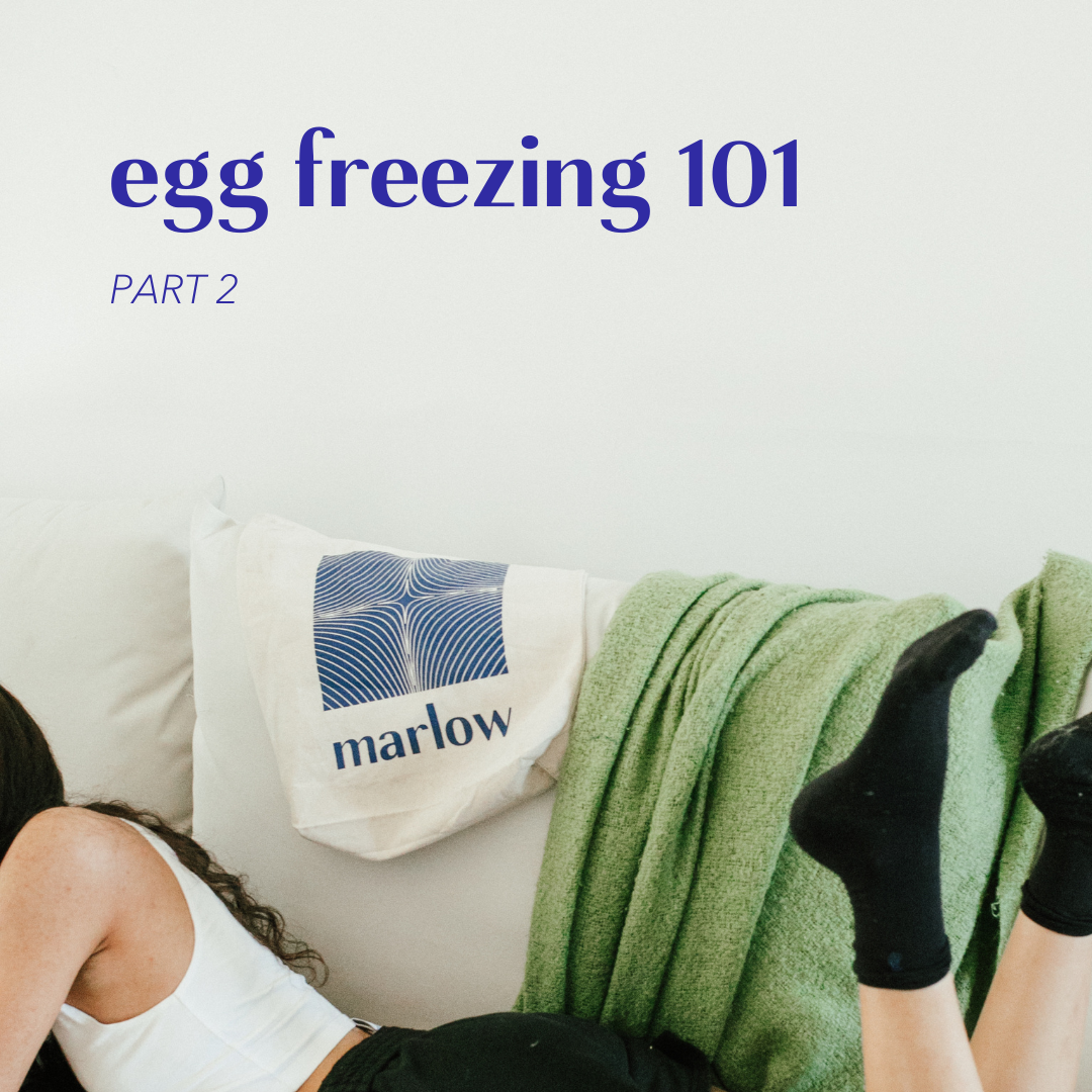 How Much It Cost To Freeze Your Eggs